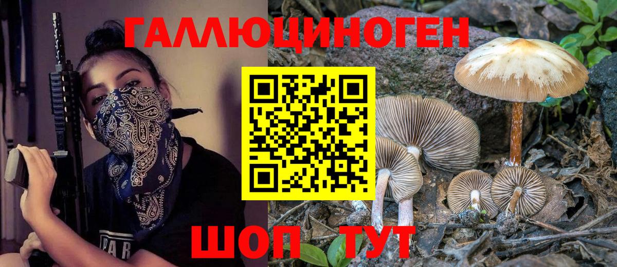Псилоцибиновые грибы Magic Shrooms  Вход с VPN  Алексин 