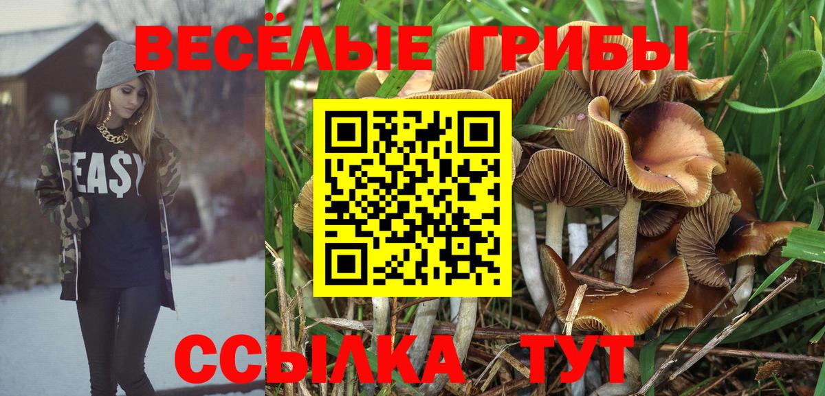 Псилоцибиновые грибы Cubensis Алексин